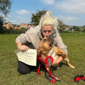 Micro bully breeders