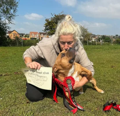 Micro bully breeders